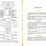 Scan of annual report 1919