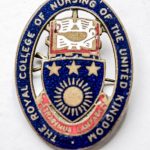 blue and red enamel oval badge, crest of the RCN in centre depicting lamp of knowledge and a shield shape with 3 stars and a sun