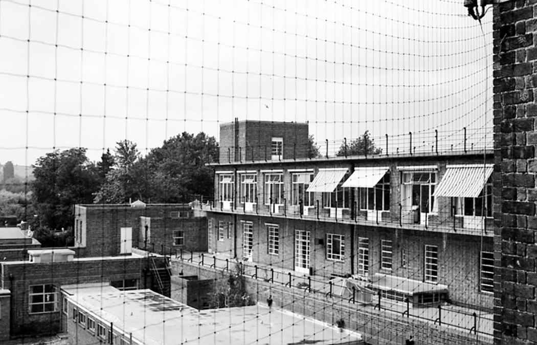 SGI view from rear of theatres across rooftops